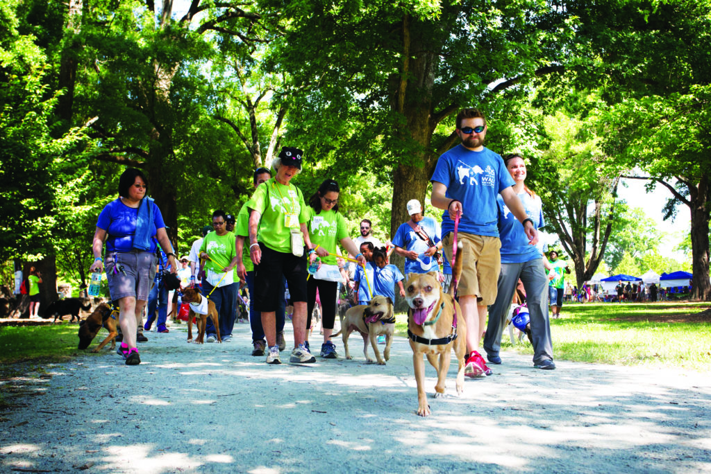 Dogs and their owners join in the Animals Protection Society of Durham's Walk for the Animals.