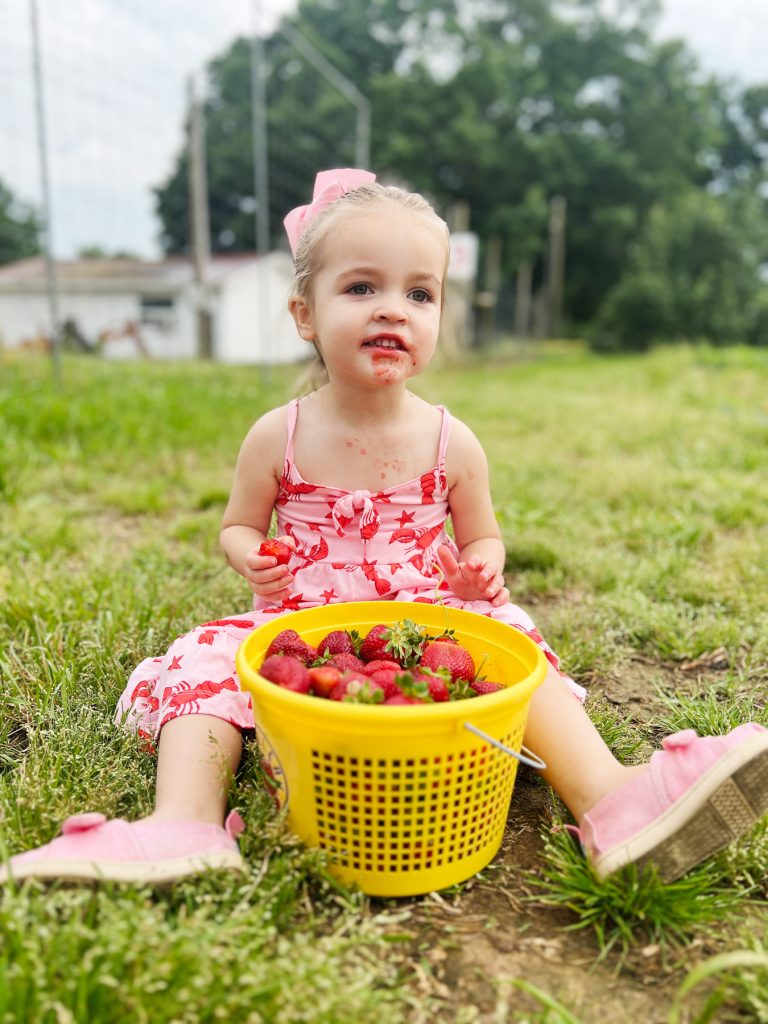 Ava James Simpson eats fresh-picked strawberries at Waller Family Farm in 2024