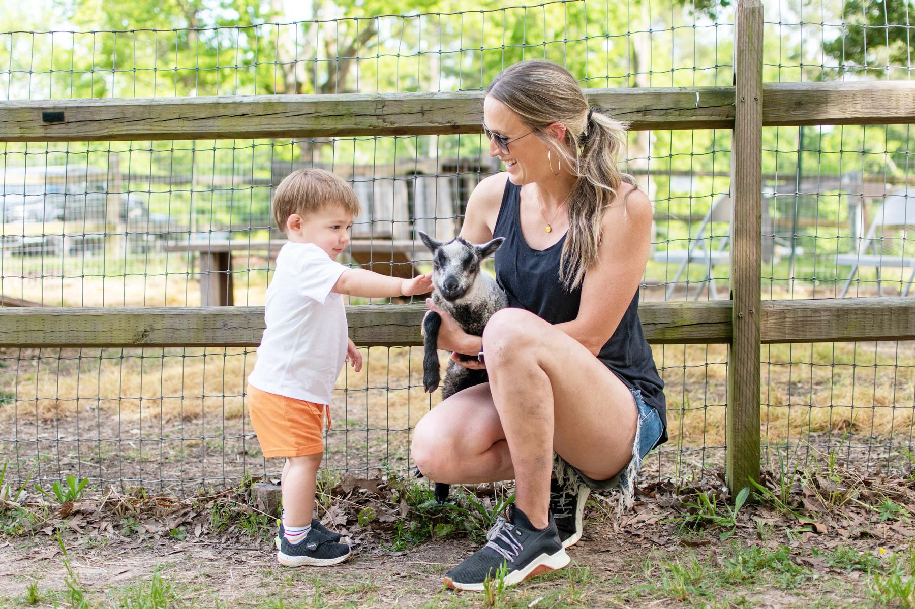 A woman holds an animal at Old Mill Farm in Durham while a young boy pets it